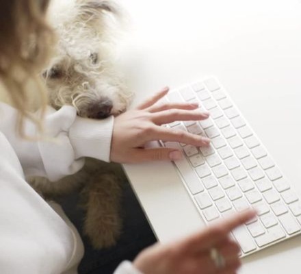 woman typing and dog